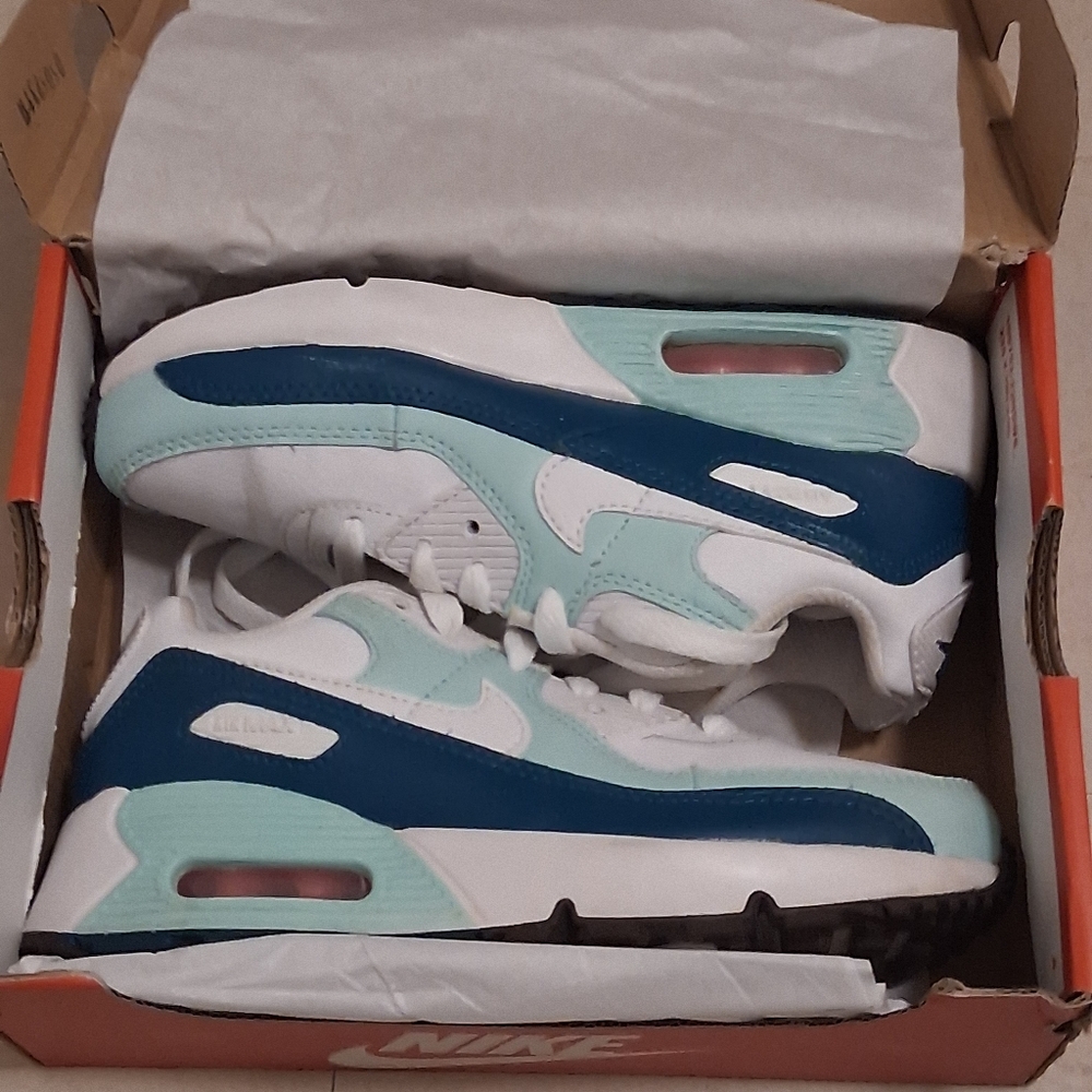 Nike Air Max Sneakers in Teal and Mint